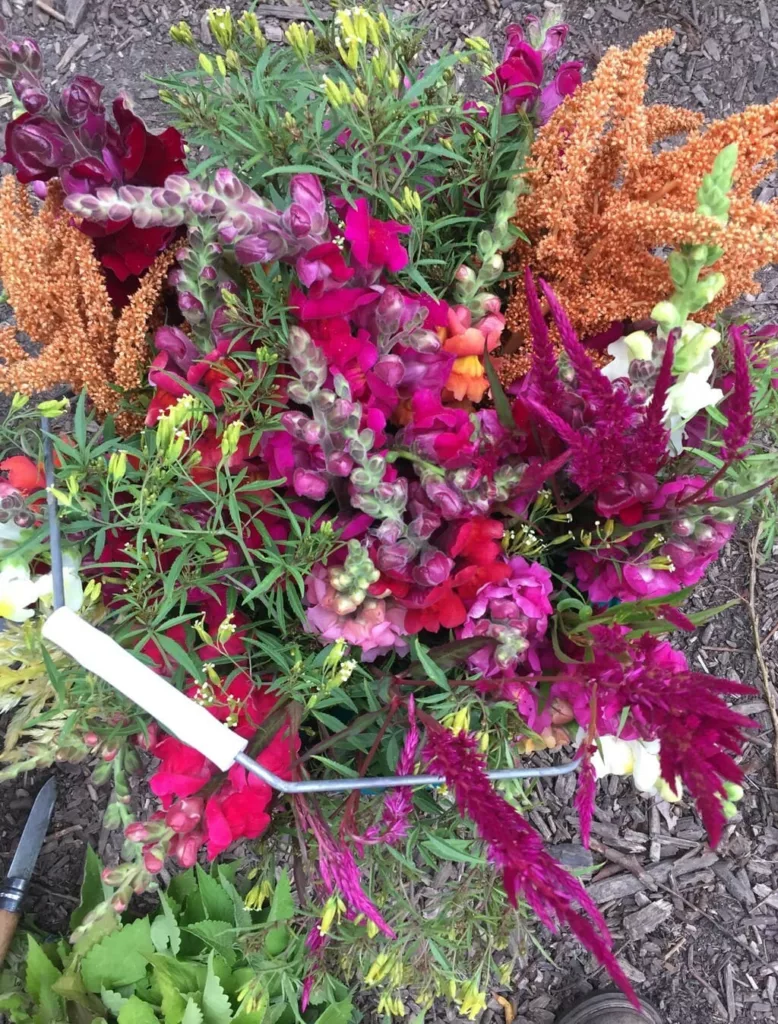 Seau rempli de fleurs de saison produites sur la ferme florale Bluëtte Farming à Bruxelles, Anderlecht; productrice de slowflowers pour fleuristes