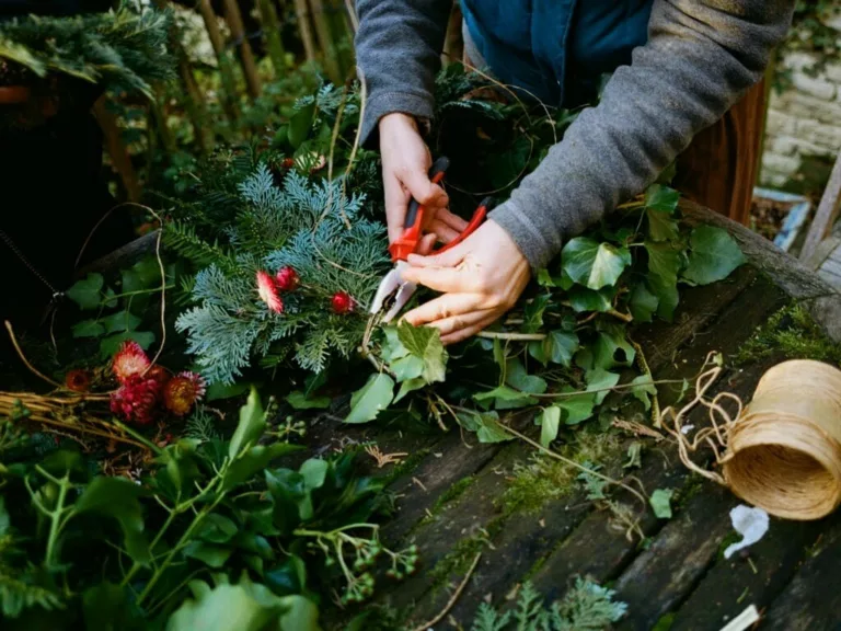 Détail de création florale d'un atelier sur la confection de couronnes de Noël sur ma ferme florale à Bruxelles, Anderlecht