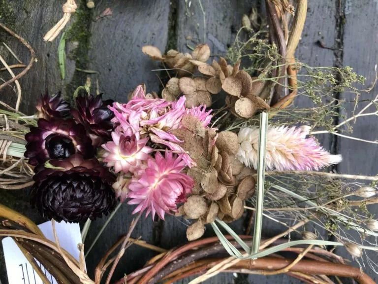 Image d'une couronne de fleurs séchées, fabriquée lors d'un atelier de fleurs sur ma ferme florale Bluëtte à Bruxelles, Anderlecht