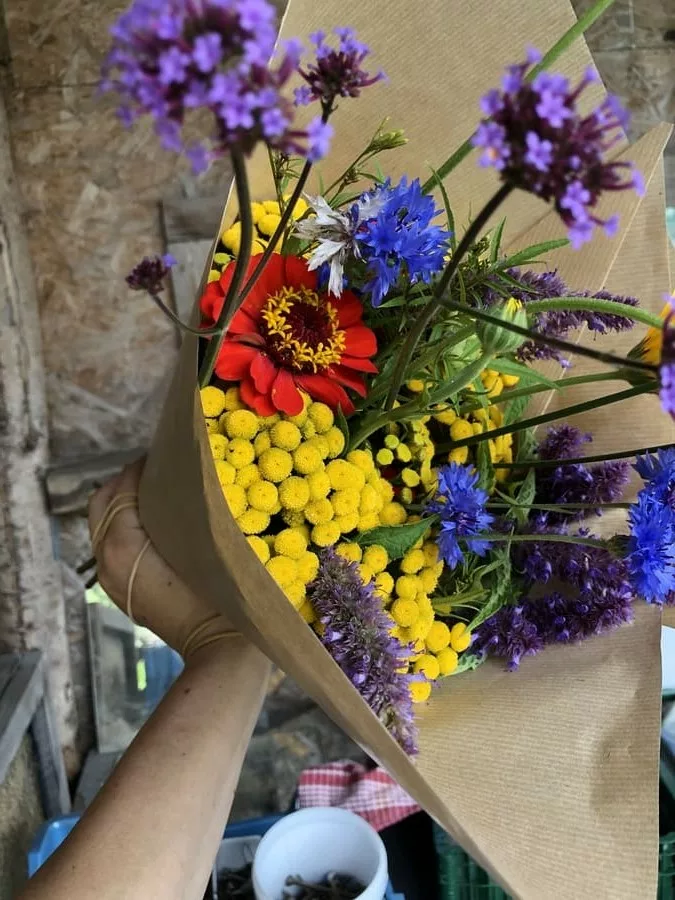 Bouquet de fleurs de saison de Bluëtte Farming, petite ferme florale à Anderlecht, Bruxelles. Bouquet sur base de fleurs à couper de Tanaisie sauvage, bleuet, Zinnia, Verveine de Buenos aires et autres.