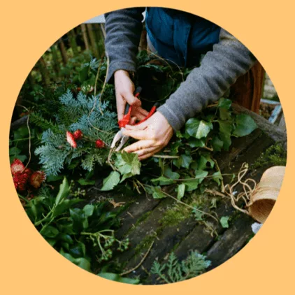 Couronne de fleurs de Noël produite avec des branchages et fleurs de saison cultivés sur ma ferme florale Bluëtte Farming à Anderlecht, Bruxelles en Belgique. Je propose des ateliers floraux pour confectionner sa propre couronne de fleurs de Noël.