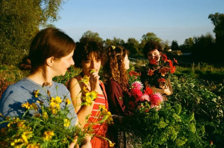 Fleurs locales et écologiques produites par Bluëtte Maraîchage et fleurs à Bruxelles, Anderlecht